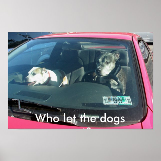 Qui a laissé les chiens sortir ? Affiche (Devant)