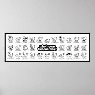 qui est votre tweenerdog ? affiche de la