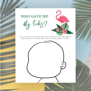 Qui m'a donné mes regards ? - Flamant rose rose