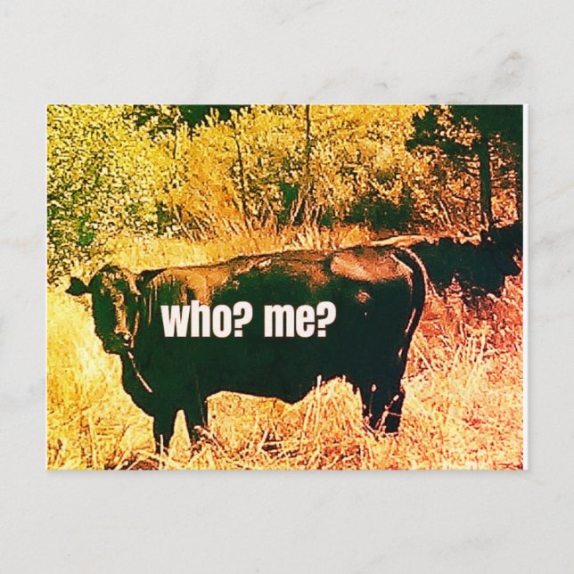Qui ? Moi? Carte postale (Devant)