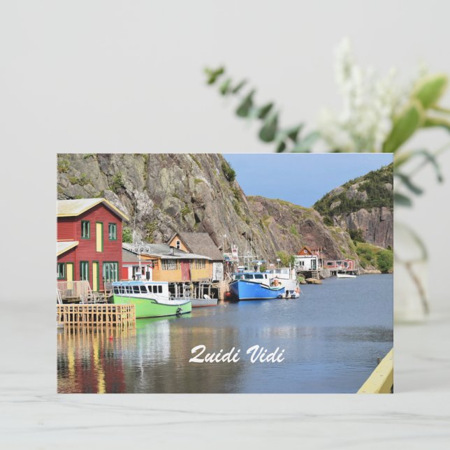 Quidi Vidi, Terre-Neuve (Debout devant)