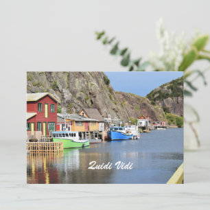Quidi Vidi, Terre-Neuve