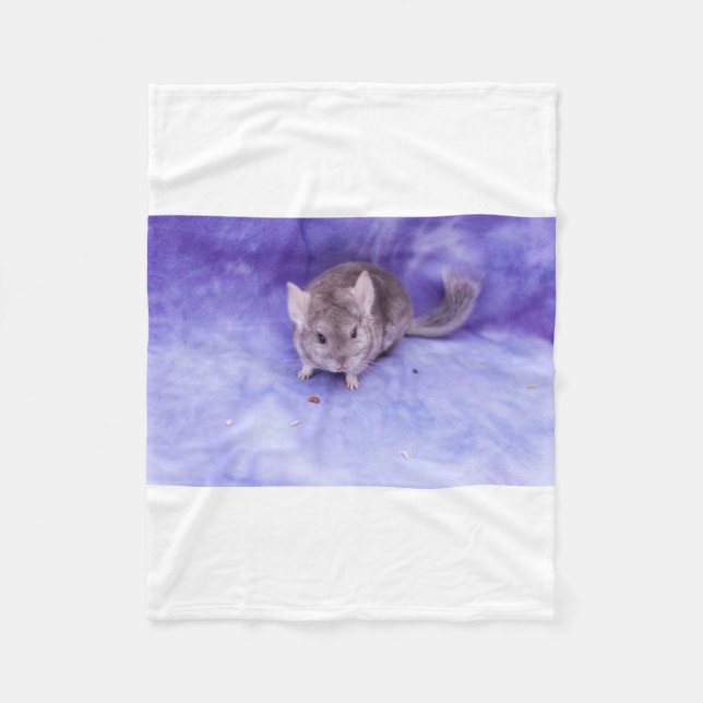 Quilles ! Couverture de chinchilla (Devant)