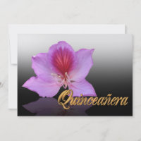 Quinceanera invitation 15e Anniversaire élégant