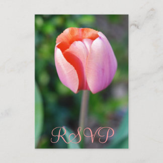 Quinceanera RSVP Tulip rose 15e anniversaire