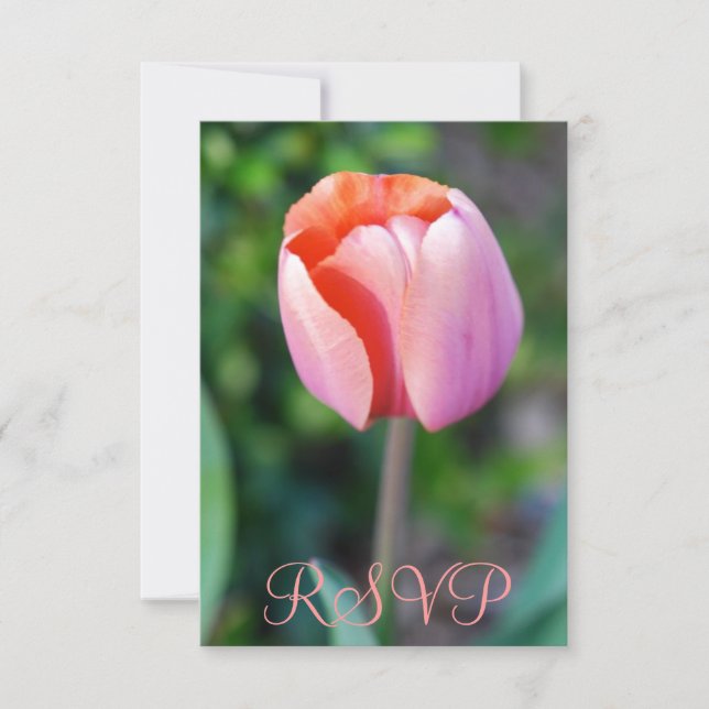 Quinceanera RSVP Tulip rose 15e anniversaire (Devant)