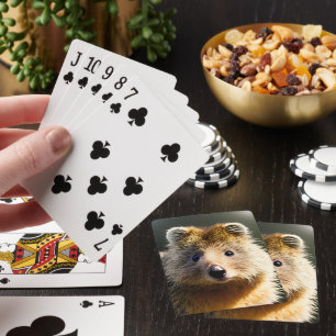 Quintin Le Ginger Quokka, Pont De Cartes De Jeu