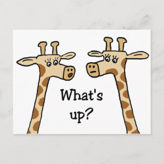 Quoi de neuf ? Cartes postales en girafe