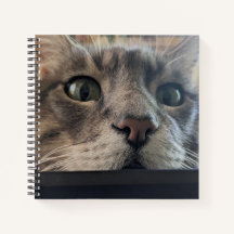 Quoi de neuf, Cat ? Carnet carré Spiral