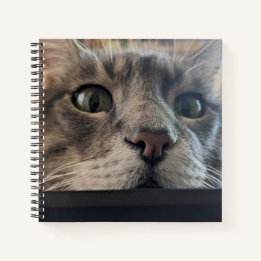 Quoi de neuf, Cat ? Carnet carré Spiral
