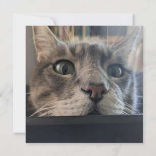 Quoi de neuf, Cat ? Carte de voeux carré