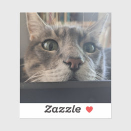 Quoi de neuf, Cat ? Sticker 3" Vinyl