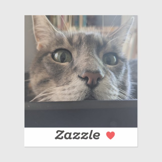 Quoi de neuf, Cat ? Sticker 3" Vinyl (Feuille)