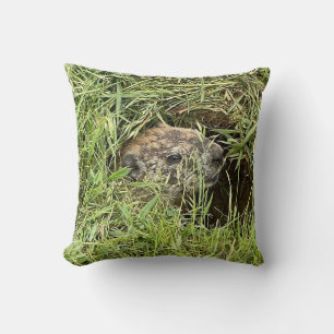 Quoi de neuf ? Coussin décoratif