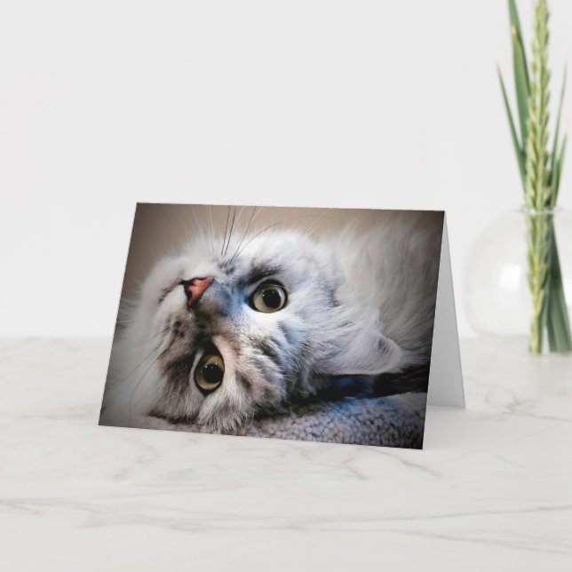 Quoi de neuf ? Penser à votre carte (Devant)