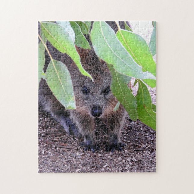 Quokka Puzzle (Vertical)