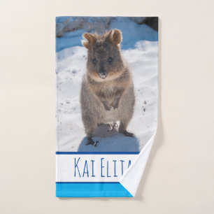 Quokka sur la plage Australie, Blue Boys