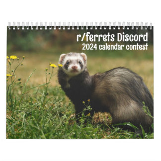 r/ferrets 2024 calendrier du concours