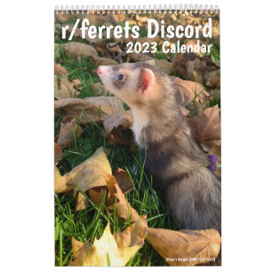 r/ferrets Calendrier 2023