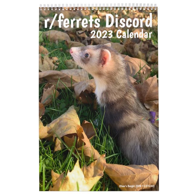 r/ferrets Calendrier 2023 (Protection)
