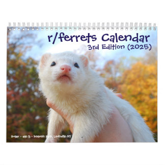r/ferrets Calendrier 3ème édition (2025)