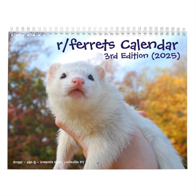 r/ferrets Calendrier 3ème édition (2025) (Protection)