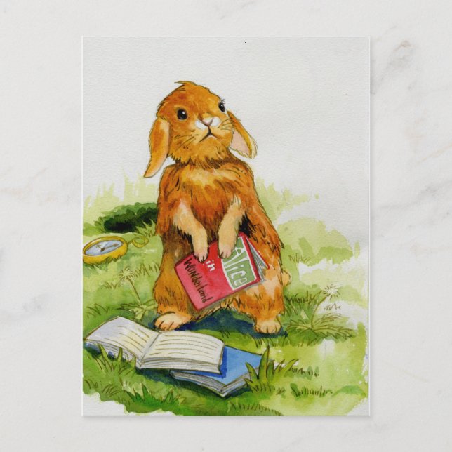 Rabbit aime lire Carte postale (Devant)