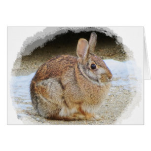 Rabbit de mars avec Vignette