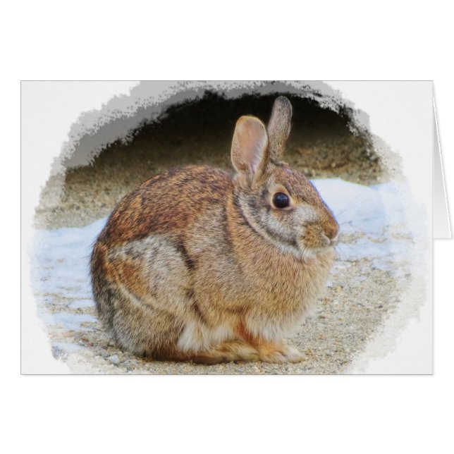 Rabbit de mars avec Vignette (Devant horizontal)