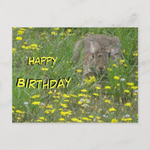 Rabbit en Fleur sauvage Field Carte postale Annive