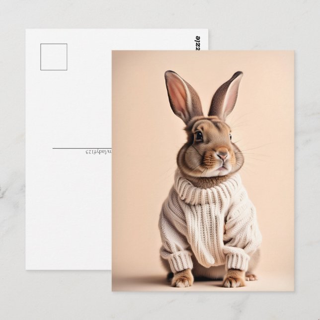 Rabbit en pull, Carte postale de poste (Devant / Derrière)