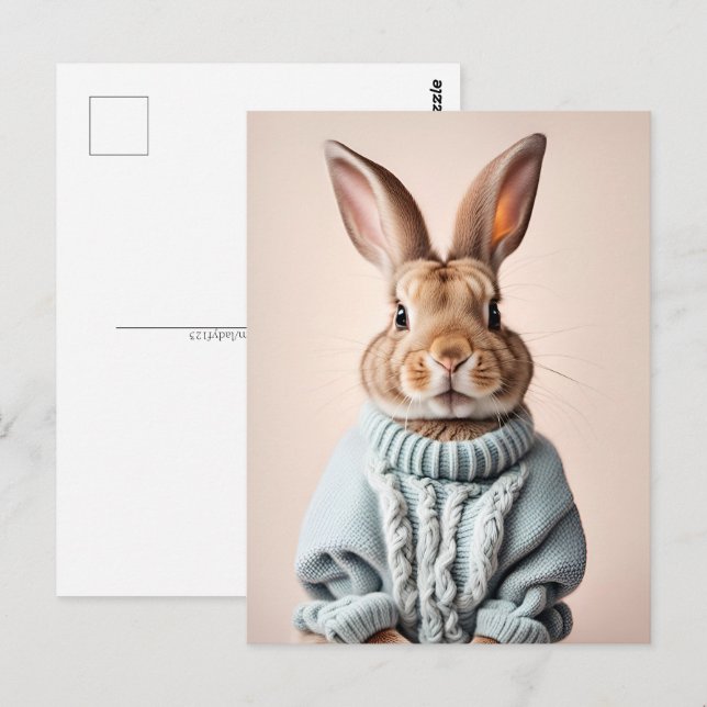 Rabbit en pull, Carte postale de poste (Devant / Derrière)