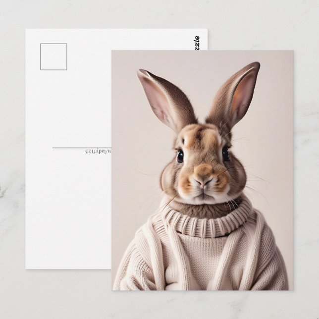 Rabbit en pull, Carte postale de poste (Devant / Derrière)
