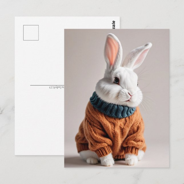 Rabbit en pull, Carte postale de poste (Devant / Derrière)
