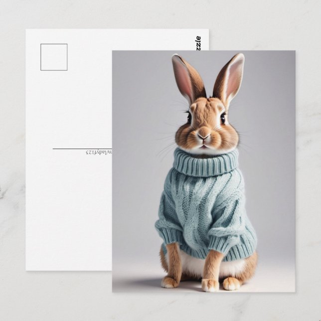Rabbit en pull, Carte postale de poste (Devant / Derrière)