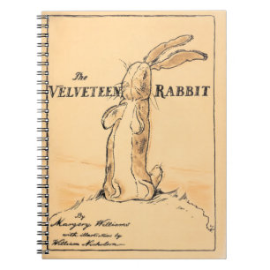 Rabbit Velveteen - Couverture de livre