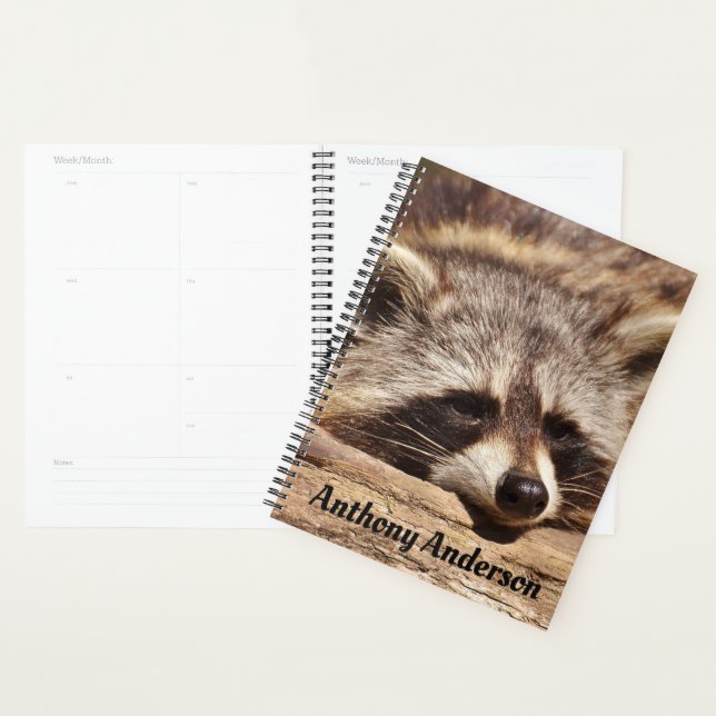 Raccoon (Devant avec enveloppe)