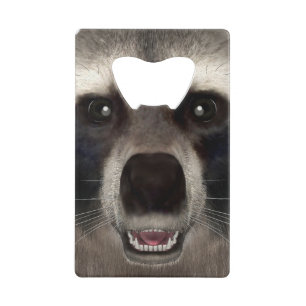 Raccoon