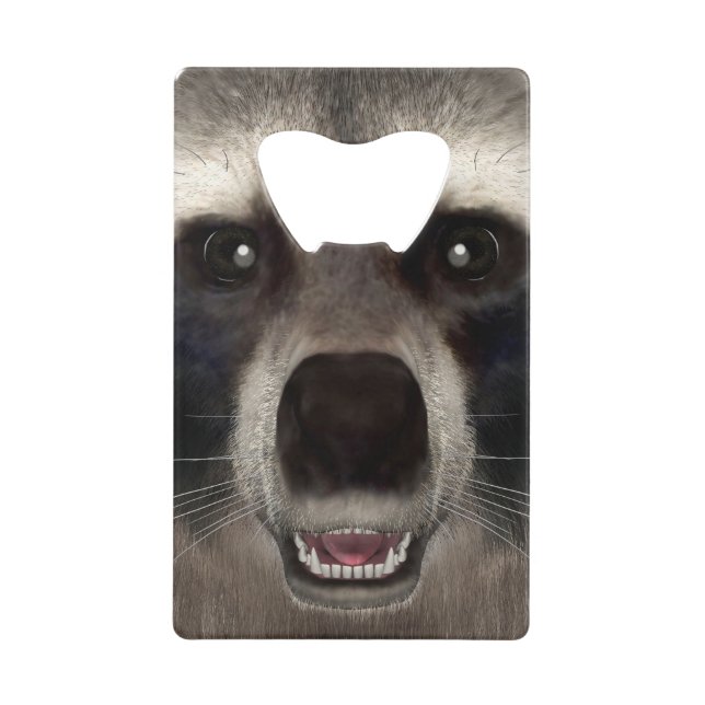 Raccoon (Devant)