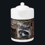 Raccoon À La Vieille Barne<br><div class="desc">Racoon</div>