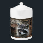 Raccoon À La Vieille Barne<br><div class="desc">Racoon</div>