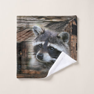 Raccoon À L'Ancienne Grange