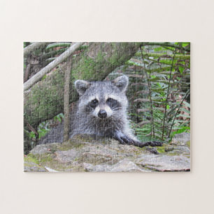 Raccoon adorable dans le Puzzle de scie de forêt