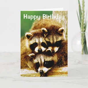Raccoon Babies Heureux Carte de voeux d'anniversai