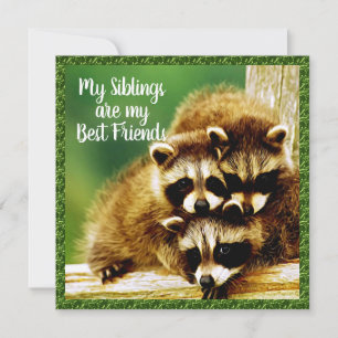 Raccoon Baby - Frères - Meilleures cartes d'amis