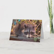 Raccoon Bonne carte d'anniversaire pour tous
