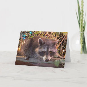 Raccoon Bonne carte d'anniversaire pour tous