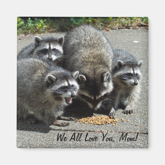 Raccoon Famille Maman Magnet (Devant)