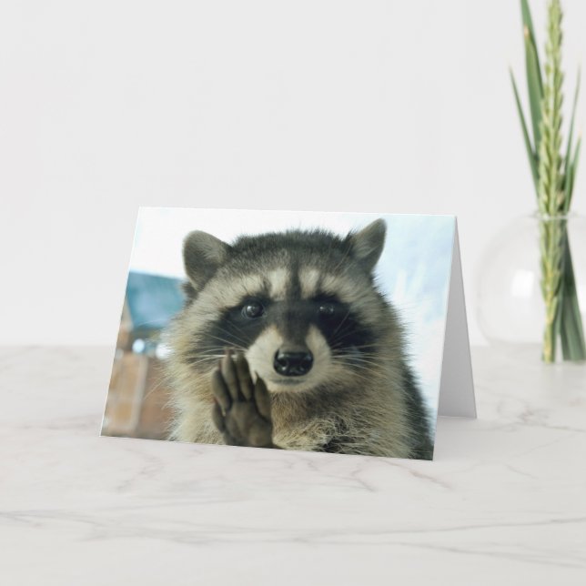 Raccoon - juste pour dire bonjour - carte de voeux (Devant)