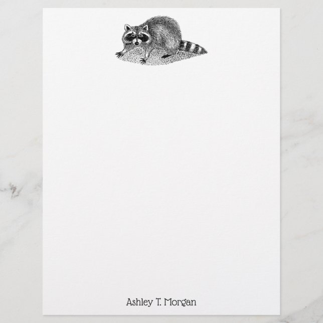 Raccoon masqué vintage (Devant)